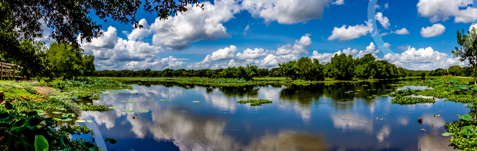 Brazos Bend State Park