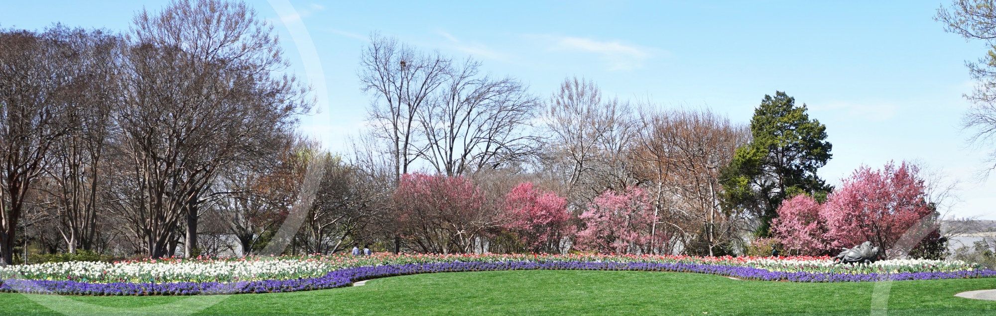 Dallas Arboretum