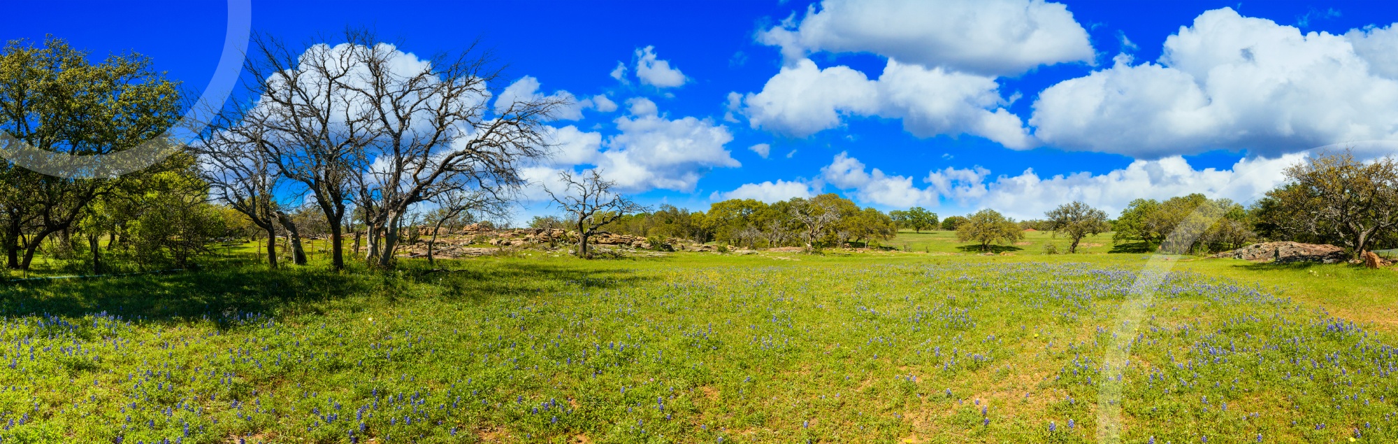 Texas Hill Country